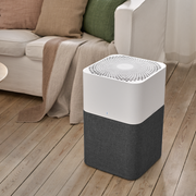 Blueair Air Purifier - Mid to Large 3610